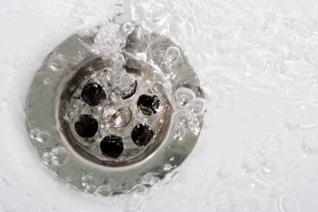 7 Common Signs That You Need a Holiday Drain Cleaning